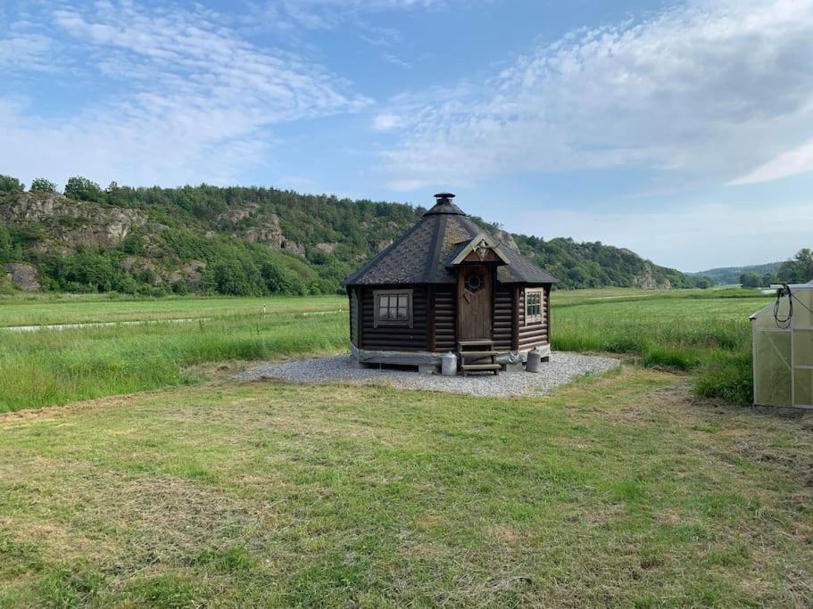 The Pink Cabin Tyfta 外观 照片